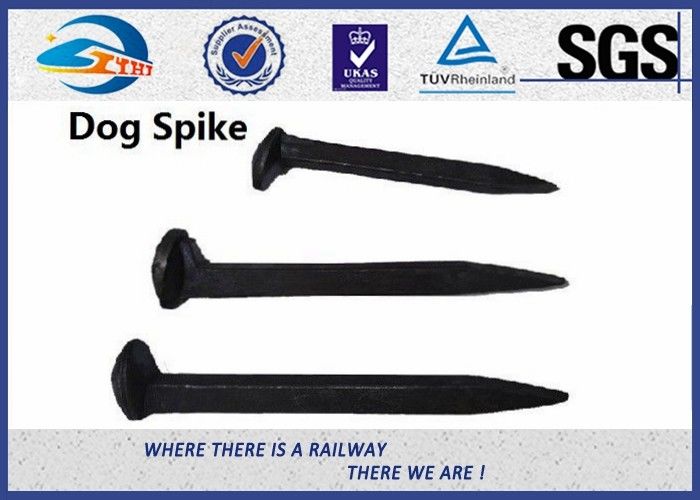 Track Carbon Steel 4.8 Grade Railway Dog Spikes  AREM Q235